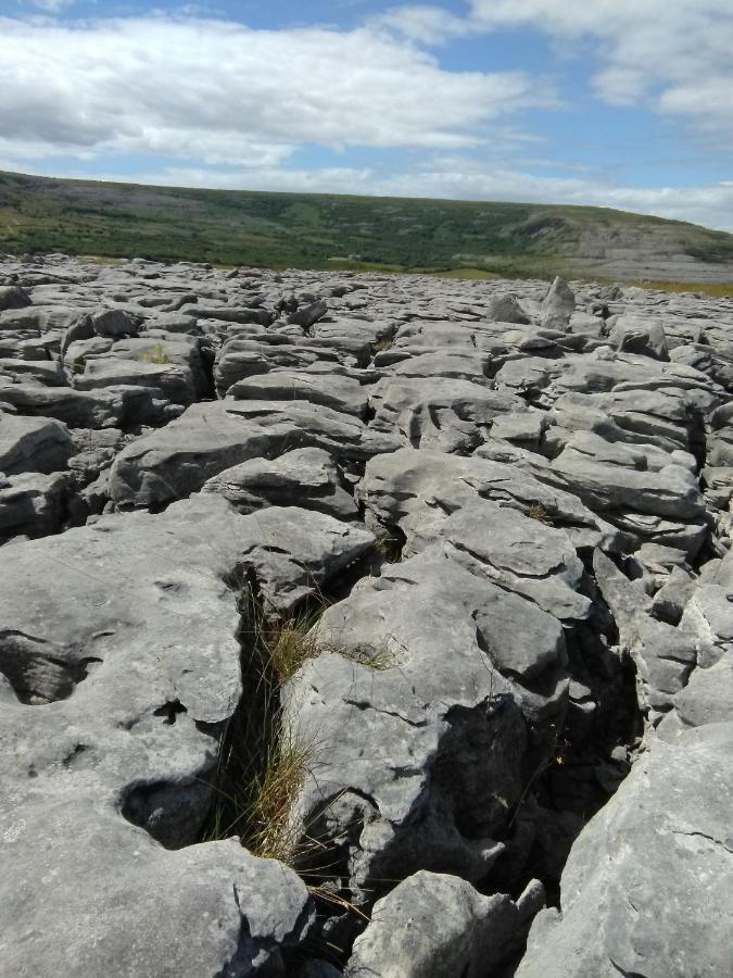 Burren Rock Farmhouse B&B Turlough  외부 사진