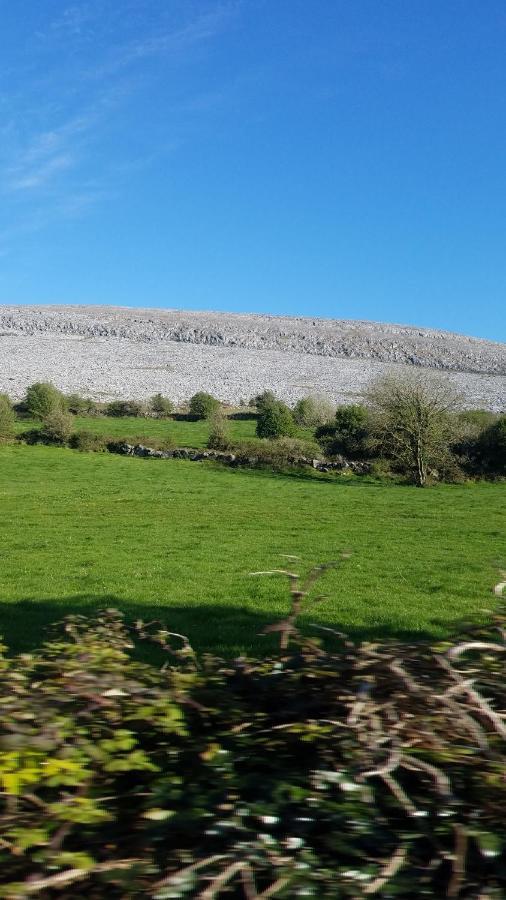Burren Rock Farmhouse B&B Turlough  외부 사진