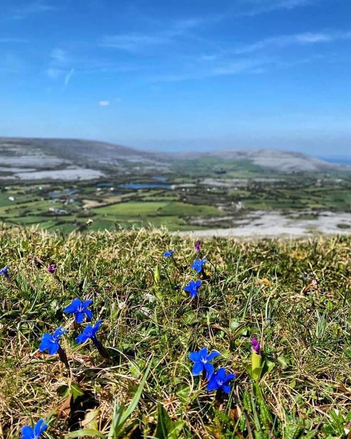 Burren Rock Farmhouse B&B Turlough  외부 사진